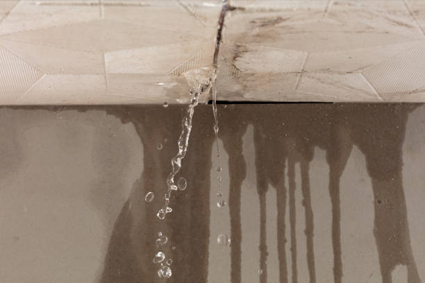 Professional Water Damage Restoration technician working in Cedar Creek, TX